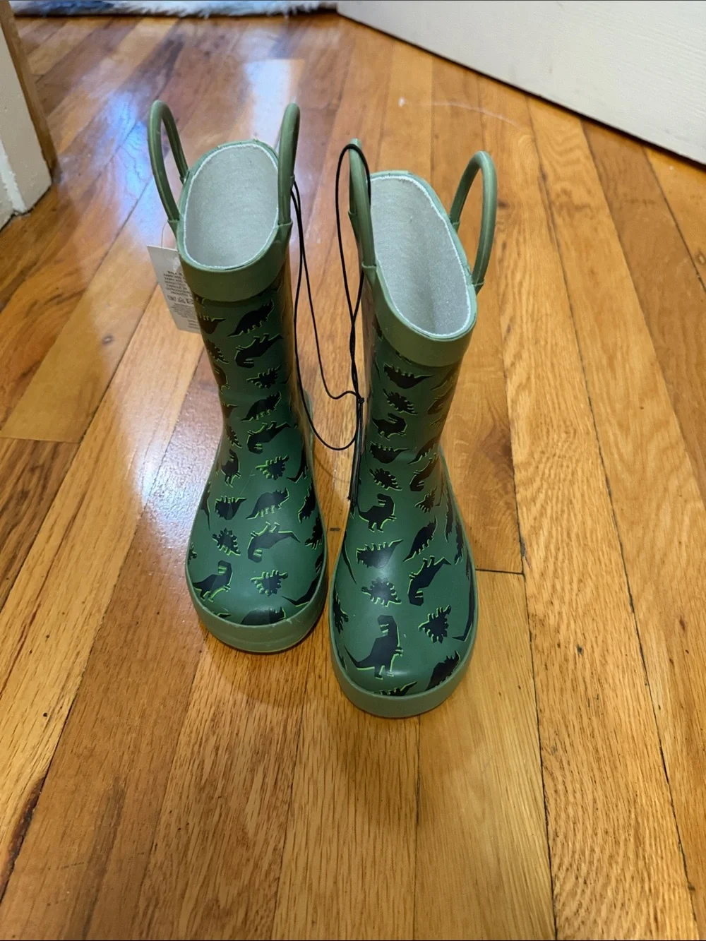 BOGO NWT Kids Green Dinosaur Rain Boots
